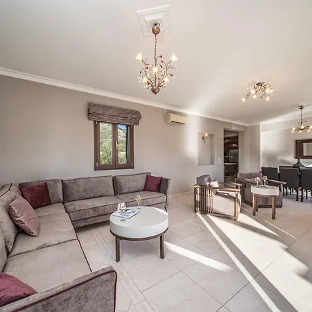 Classic * Acupádesz